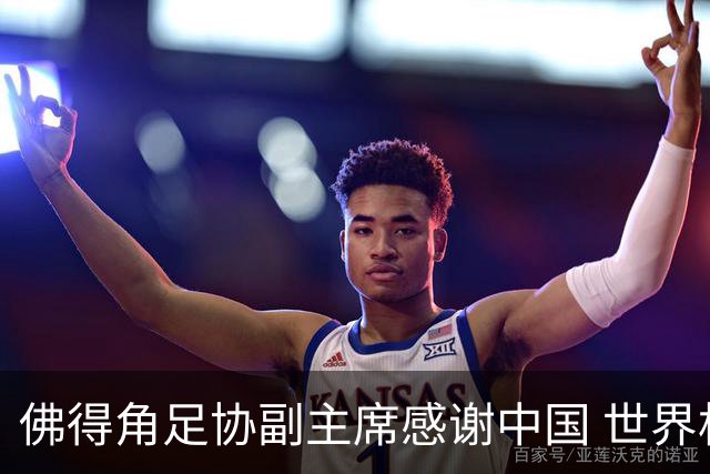 佛得角足协副主席感谢中国 世界杯后将安排与国足友谊赛