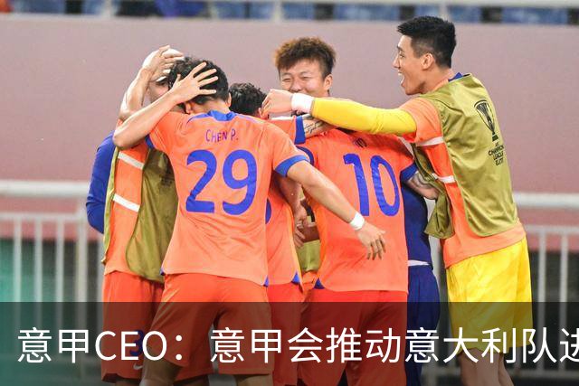 意甲CEO：意甲会推动意大利队进步 国家队低迷原因得追溯到20年前